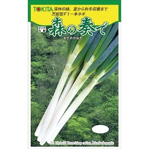 ネギの種まき 育苗 初心者 家庭菜園 直売出荷 生種とセルトレイで育苗 2 3月播種 幼苗まで 白ネギ 長ネギ 一本ネギをビシッと発芽を揃えて育苗する栽培管理と作業時間 説明に目次 トキタ種苗 Youtube