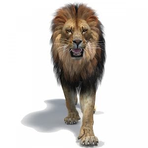 Lion Roar 3d Animation | @PROmax3D - YouTube