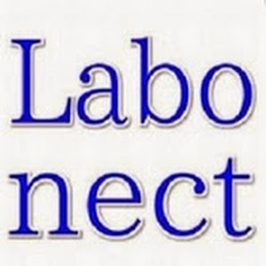 玉ねぎ粉 オニオンパウダーの作り方 Youtube