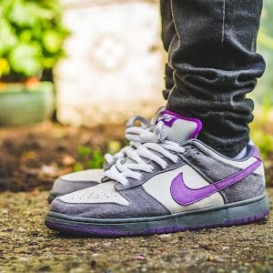 purple pigeon dunks