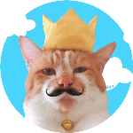 祝 元野良ボス猫デブが家猫になって1年経ちました Youtube 祝 元野良ボス猫デブが家猫になって1年経ちました Youtube