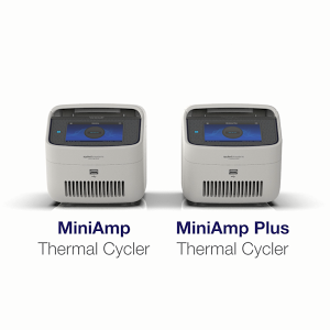 Miniamp Pcr Thermal Cycler Youtube