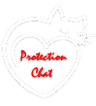 Securiser Un Balcon Sans Percer Youtube