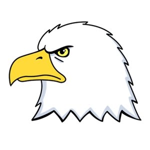 cartoon eagle drawing