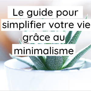 Comment Arreter Les Achats Compulsifs Une Vie Simple Et Zen Youtube