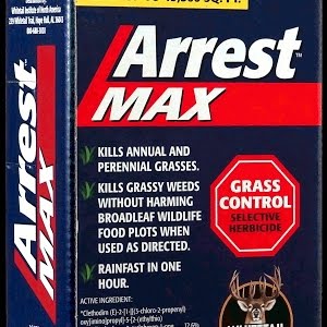 Mowing Your Food Plots To Control Weeds - YouTube