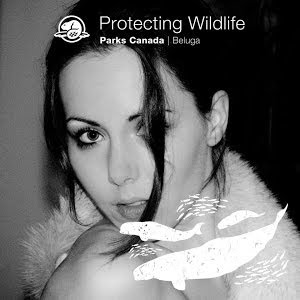 How To Epoxidharz Tutorial Giessharz Schleifen Polieren Teil 3 Crystal Epoxy Resin Tutorial Youtube