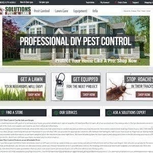 Ant-Trax Ant Bait: Product Review - YouTube