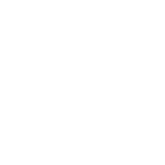 なるほど わん にゃん図鑑 陽気 遊び好きなアメリカンショートヘア Youtube なるほど わん にゃん図鑑 陽気 遊び好きなアメリカンショートヘア Youtube