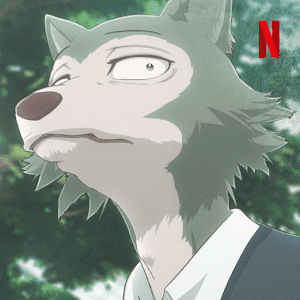 wolf beastars