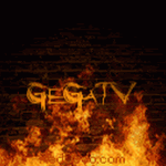 panars 8202 erkek kol saati inceleme