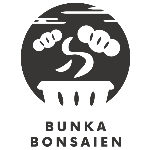 ピラカンサの手入れトゲの対処について 44 Youtube ピラカンサの手入れトゲの対処について 44 Youtube