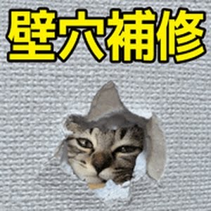 壁の穴 補修方法 石膏ボードの穴修理方法 壁ドンの後に Youtube