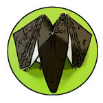 Transforming Ninja Star Blade Shuriken Origami Diy How To Make Tutorial Paper Folds 794 Youtube