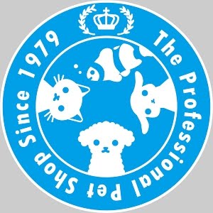 チャーム チャーム 館林店 店内 小動物用品お取り扱いございます 動画 Charm Pet Shop Youtube チャーム チャーム 館林店 店内 小動物用品お取り扱いございます 動画 Charm Pet Shop Youtube