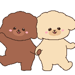 愛犬の涙やけを撲滅する超簡単ケアをお見せします トイプードル Youtube 愛犬の涙やけを撲滅する超簡単ケアをお見せします トイプードル Youtube