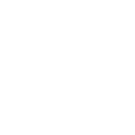 英語をしゃべる犬 ブルックリン Youtube 英語をしゃべる犬 ブルックリン Youtube