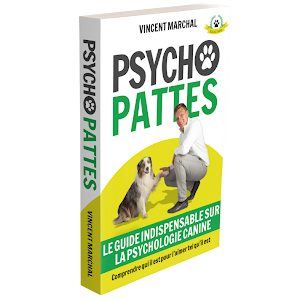 POURQUOI VOTRE CHIEN GRATTE LE SOL ET FAIT DES TROUS ? - YouTube
