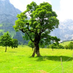 10 Filme Cu Extraterestri Youtube