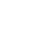 子猫のおもちゃに はしゃぎまくるサイベリアンのミーナ Youtube