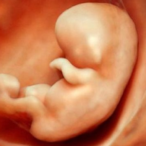 Bebek Hareketleri Ne Zaman Ve Nasil Baslar Anne Ve Baba Adaylari Ilk Hareketleri Ne Zaman Hisseder Youtube