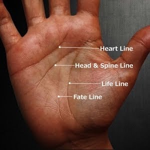 FULL Male Palm & Hand Reading Palmistry #7 - YouTube