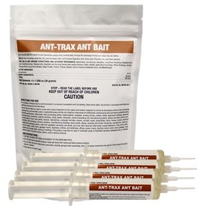 How to Use Ant-Trax Ant Bait - YouTube