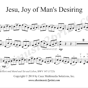 Jesu Joy Of Man S Desiring Viola Youtube