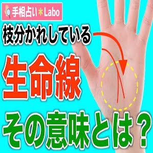 手相占い 枝分かれしている生命線の本当の意味とは Youtube