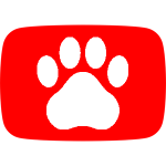 理不尽な猫パンチを食らった犬の反応がおもしろすぎw 猫のおもしろ動画集 Youtube