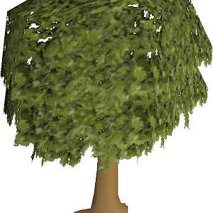 Complete Tree Farming Guide For Osrs Youtube