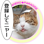 3年間この場所から動かない超ナマケモノのデブ猫 のらねこ パラダイす Youtube