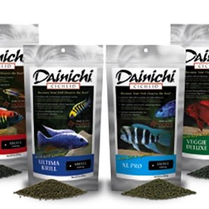 Dainichi Fish Food Before And After Youtube