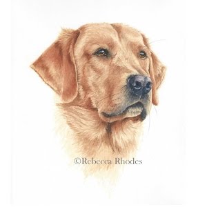 labrador watercolor painting