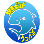 魚突き 巨大サメの襲撃 死にかけた Sharkattack Japanese Amberjack Youtube