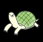 亀はなつく 昼寝を邪魔しにきたクサガメが可愛いw クサガメ飼育 とんの部屋 Youtube 亀はなつく 昼寝を邪魔しにきたクサガメが可愛いw クサガメ飼育 とんの部屋 Youtube