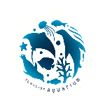 最強生物決戦 展 サンシャイン水族館 テラフォーマーズ Youtube 最強生物決戦 展 サンシャイン水族館 テラフォーマーズ Youtube