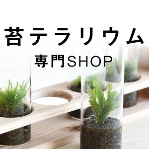 100均アイテムで苔テラリウムをつくる ダイソー編 How To Make A Moss Terrarium 22 Youtube