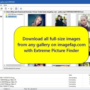 download imagefap gallery in browser