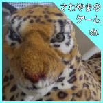 Tjaplayer 太鼓さん次郎 戦闘 チャンピオン アイリス ポケモン Bw2 10 Youtube Tjaplayer 太鼓さん次郎 戦闘 チャンピオン アイリス ポケモン Bw2 10 Youtube