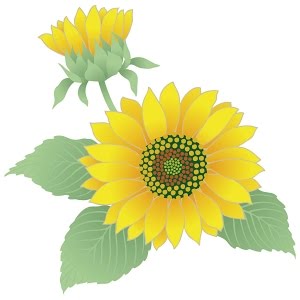 楷書 行書 草書書道教秀japan Youtube