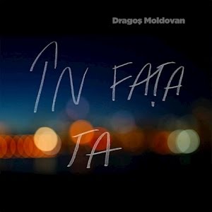Dragos Moldovan In Fata Ta Lyric Video Youtube