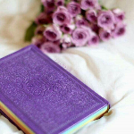 مسلسل الياباني انا لم احبك بعد الحلقة 1 مترجم Youtube