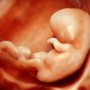 19 gebelik haftasinda yaklasik 4 5 aylik anne karninda parmak emme agzi acma ve dil cikarma hareketi youtube