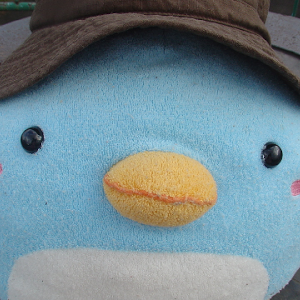 呪われた永久凍土 1 無課金攻略 にゃんこ大戦争 Youtube 呪われた永久凍土 1 無課金攻略 にゃんこ大戦争 Youtube