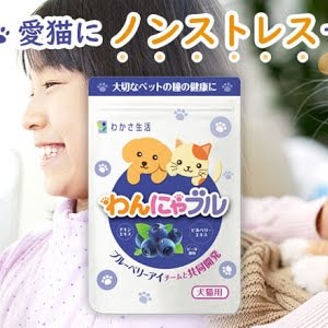 わんにゃブル で愛犬 愛猫にノンストレスでアイケアを Youtube