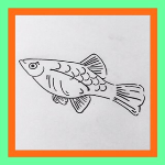 熱帯魚飼育 プラティの出産徴候 兆候 前兆の撮影に成功 Signs Of Platy Xiphophorus Maculatus Birth Aquarium Youtube 熱帯魚飼育 プラティの出産徴候 兆候 前兆の撮影に成功 Signs Of Platy Xiphophorus Maculatus Birth Aquarium Youtube