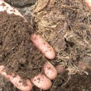 Compost From Rice Straw Summary Youtube