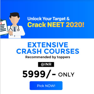 Most Important Animal Kingdom Mcq Neet Biology Crash Course Neet 2020 Preparation Ankita Ma Am Youtube