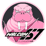 Nerf Vector Kit Installation Guide Quincy Stryfe Upgrades 1 Walcom S7 Youtube